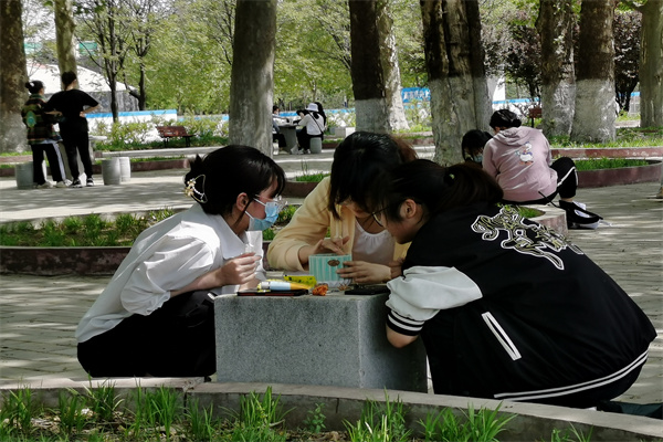 多组过程图.jpg