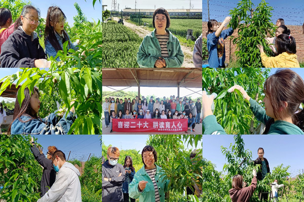 九宫格原图_副本.jpg