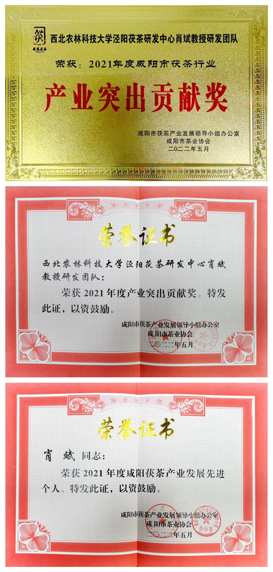 36a0c28ad1bc4de48c51cf952a0231b9.jpg