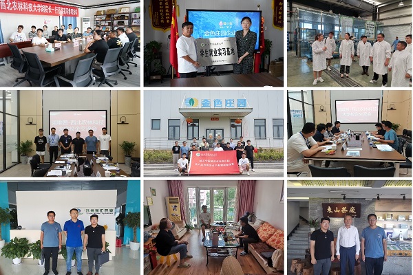 组图.jpg