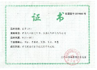 1786991dbfec471fbf0dc5082dc7ae76.png