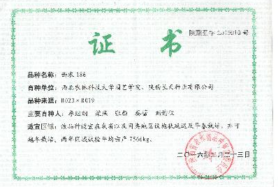 2b36d71001924d35a0b9e76765a219c5.png